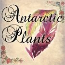 Antarctic Plants