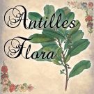 Antilles Flora