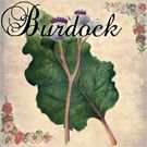 Burdock