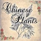 Chinese Plants