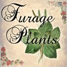 Furage Plants