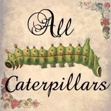 all caterpillars