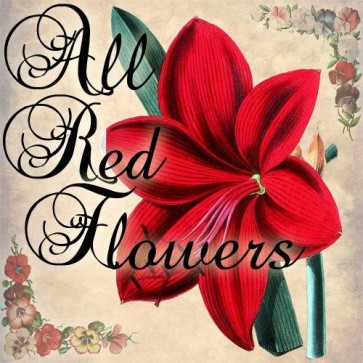 all red flowers