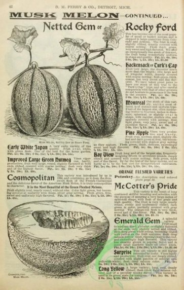 botanical-21803 - black-and-white 036-Musk Melon