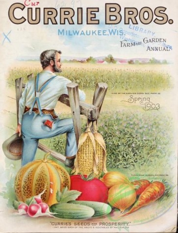 cucumber-00104 - 066-Gardener, man, Corn, Field, Musk melon, Tomato, Onion, Carrot, cucumber