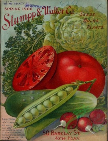 cucumber-00122 - 034-Tomato, Pea, Cucumber, Cabbage, Radish