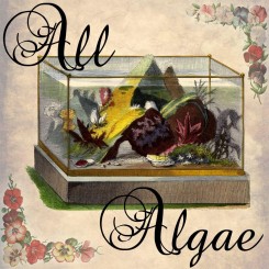 all algae