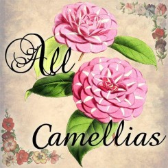 all camellias