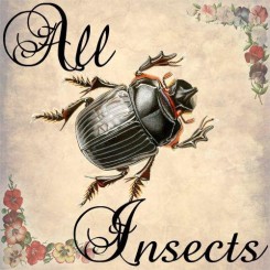 all insects