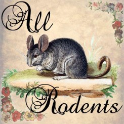 all rodents