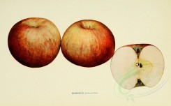 apples-00004 - Apple, 004 [3390x2099]