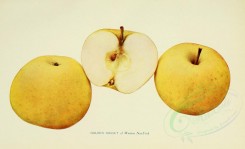 apples-00069 - Apple, 069 [3406x2068]