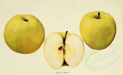 apples-00073 - Apple, 073 [3406x2068]