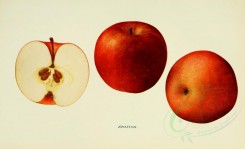 apples-00081 - Apple, 081 [3406x2068]