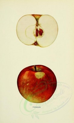 apples-00096 - Apple, 096 [2068x3416]