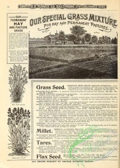 botanical-19921 - black-and-white 058-Top Grass, Orchard Grass