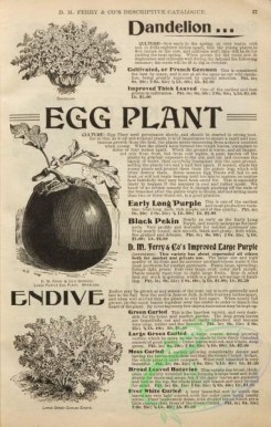 botanical-21798 - black-and-white 031-Egg Plant