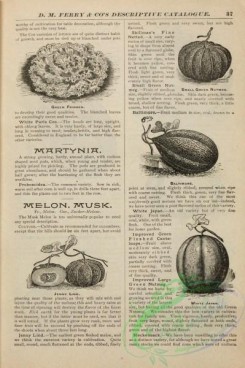 botanical-21927 - black-and-white 044-Musk Melon