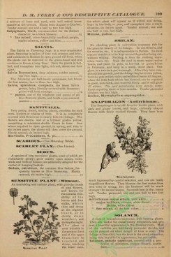 botanical-21982 - black-and-white 110-Snapdragon, Sensitive Plant