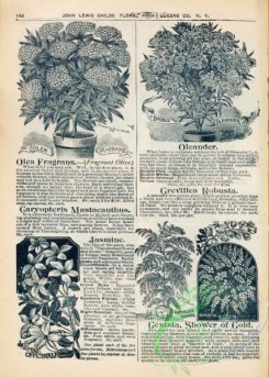 botanical-22154 - black-and-white 142-oleander