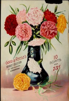 carnation-00203 - 078-Carnations, Vase [2392x3473]