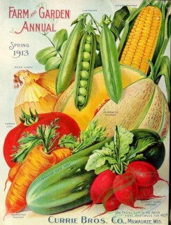 cucumber-00001 - 031-Harvest, Pea, Corn, Cucumber, Tomato, Radish, Onion, Muskmelon