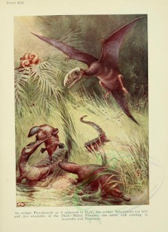 dinosaurs-00001 - Duck-Billed Platypus [2386x3291]
