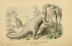 dinosaurs-00038 - GIGANTIC DINOSAUR, IGUANODON BERNISSARTENSIS [3694x2376]