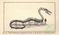dinosaurs-00055 - Koch's Hydrarchus [2362x1425]