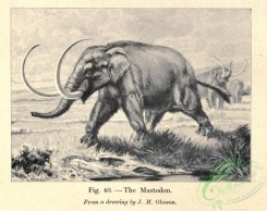 dinosaurs-00057 - Mastodon [1914x1517]