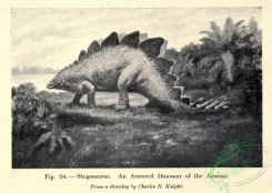 dinosaurs-00059 - Stegosaurus, Armored Dinosaur of the Jurassic [2215x1572]
