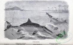 dinosaurs-00075 - Fish-Lizard, ichthyosaurus communis, dapedius, ichthyosaurus tenuirostris [2830x1768]