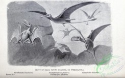 dinosaurs-00085 - Pterodactyl, pterodactylus crassirostris, rhamphorhynchus phyllurus, pterodactylus spectabilis [2830x1768]