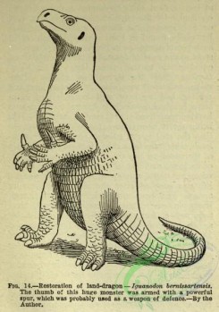 dinosaurs-00097 - iguanodon bernissartensis [1789x2544]