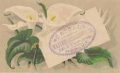 ephemera_advertising_trading_cards-00075 - 0075-Lilac, Letter, leaves [3000x1840]