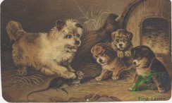 ephemera_advertising_trading_cards-00174 - 0174-Dog, Puppies, rat, broom, kennel [3000x1795]