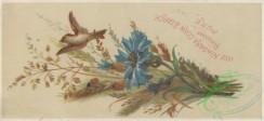 ephemera_advertising_trading_cards-00559 - 0559-Bird, Flowers bouquet [3000x1377]