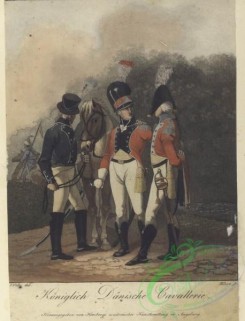 military_fashion-01384 - 107154-Denmark, 1800-1814