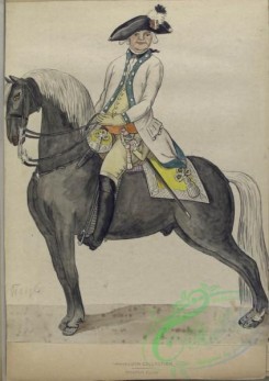 military_fashion-07959 - 102457-Netherlands, 1793-Man with sword and a green-yellow colored uniform riding on a horseback