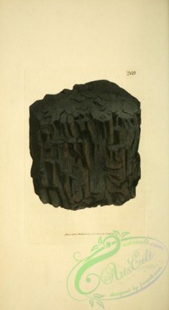 minerals-00205 - 269-Prismatic Plumbago [1878x3421]