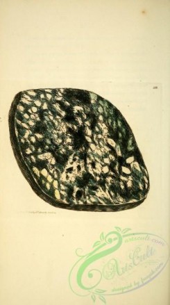 minerals-00264 - 328-Hornblend [1929x3454]