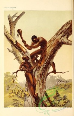 nature_and_art-00076 - 010-Honey-hunters of South Africa