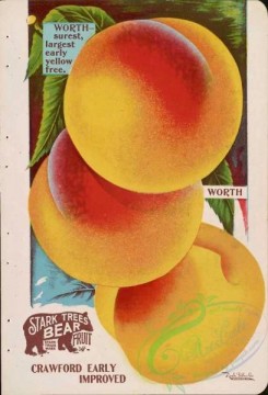 peach-01387 - 032-Peach