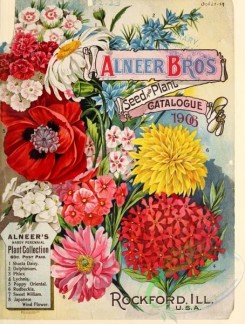 poppies_flowers-00181 - 085-Daisy, delphinium, phlox, lychnis, poppy, rudbeckia, sweet william, japanese wind flowe