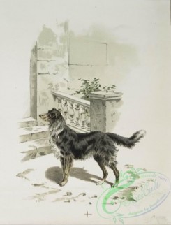 prang_cards_animals-00188 - 1225-A Calendar depicting dogs-chasing a rabbit, at a front door, laying by a fence and sitting in a field 100913