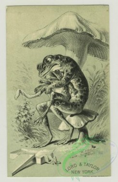 prang_cards_animals-00210 - 1395-Trade cards depicting frogs-sitting on mushrooms, dressing a frog child, clothed in a dress, looking longingly at a pair of boots 101583
