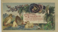 prang_cards_birds-00220 - 1650-Trade cards depicting children, flowers, ducklings, frogs, cats, hot air balloon, pond, teaching, sweeping and falling 102852