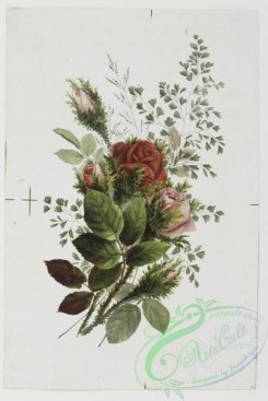 prang_cards_botanicals-00038 - 0489-Birthday, Christmas, New Year and Valentine cards depicting flowers and plant forms 106175