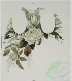prang_cards_botanicals-00075 - 0562-Marriage certificates depicting flowers 106639