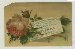 prang_cards_botanicals-00323 - 1322-Trade cards depicting flowers, autumn foliage, acorns, books, an eagle, corn, a woman clothed in a patriotic dress and hat, boxes of corn starch and s 101235